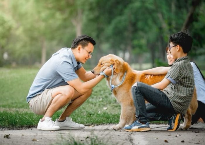 Benefits of playing sports with your pet